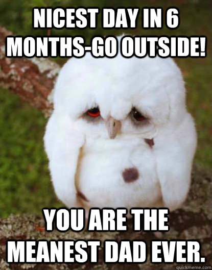 nicest day in 6 months-go outside! you are the meanest dad ever.  Depressed Owl