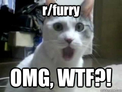 r/furry OMG, WTF?!  