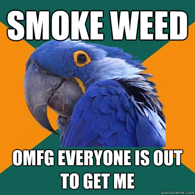 smoke weed omfg everyone is out to get me  Paranoid Parrot
