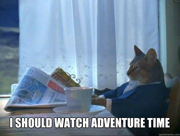  I should watch adventure time  morning realization newspaper cat meme