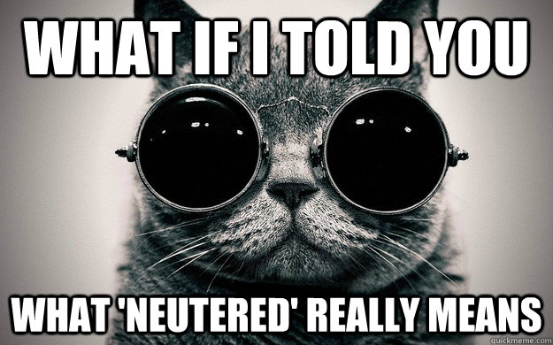 what if I told you what 'neutered' really means  Morpheus Cat Facts