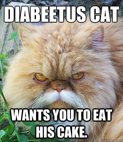 Diabeetus Cat Wants you to eat his cake.  Diabeetus Cat