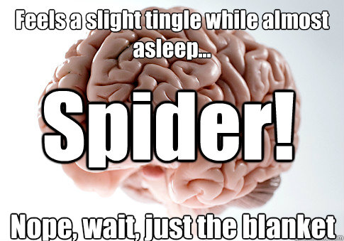Feels a slight tingle while almost asleep... Nope, wait, just the blanket Spider!  Scumbag Brain