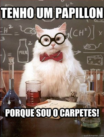 Tenho um papillon porque sou o carpetes!  Chemistry Cat