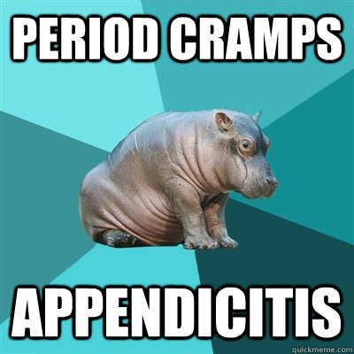 Period Cramps APPENDICITIS - Period Cramps APPENDICITIS  Hypochondriac Hippo