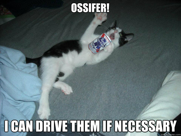 Ossifer! I can drive them if necessary - Ossifer! I can drive them if necessary  over dramatic drunk cat