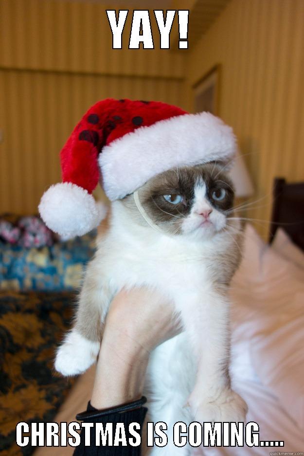 YAY! CHRISTMAS IS COMING..... Grumpy xmas