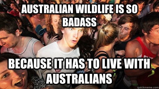 australian wildlife is so badass because it has to live with australians  Sudden Clarity Clarence