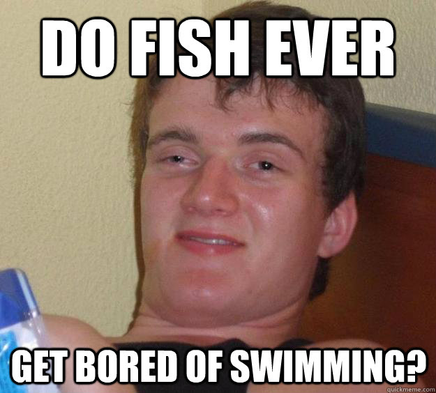 do fish ever get bored of swimming? - do fish ever get bored of swimming?  10 Guy