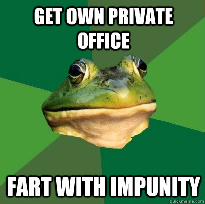 get own private office fart with impunity  Foul Bachelor Frog