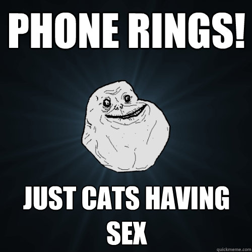 phone rings! just cats having sex  Forever Alone