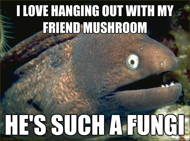 I love hanging out with my friend mushroom He's such a fungi - I love hanging out with my friend mushroom He's such a fungi  Bad Joke Eel