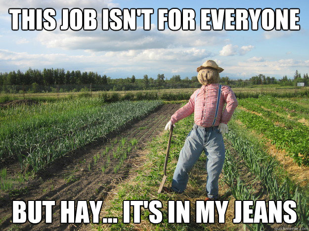 This job isn't for everyone But Hay... it's in my jeans  Scarecrow