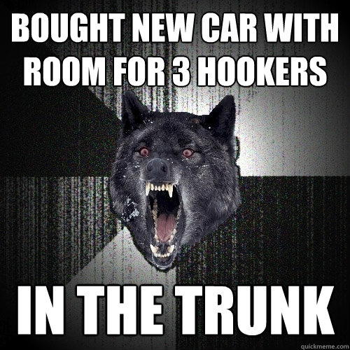 bought new car with room for 3 hookers in the trunk  Insanity Wolf