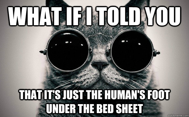What if i told you that it's just the human's foot under the bed sheet  Morpheus Cat Facts