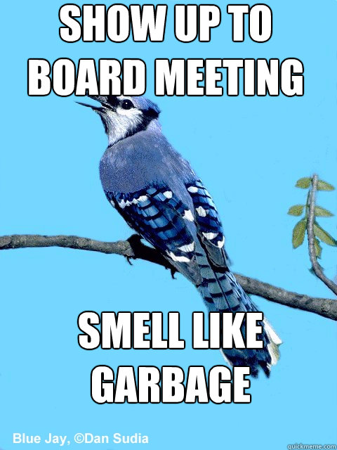show up to board meeting smell like garbage - show up to board meeting smell like garbage  Blue Team Bird