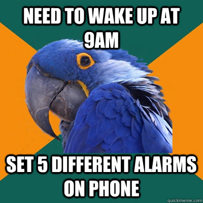 need to wake up at 9am set 5 different alarms on phone  Paranoid Parrot