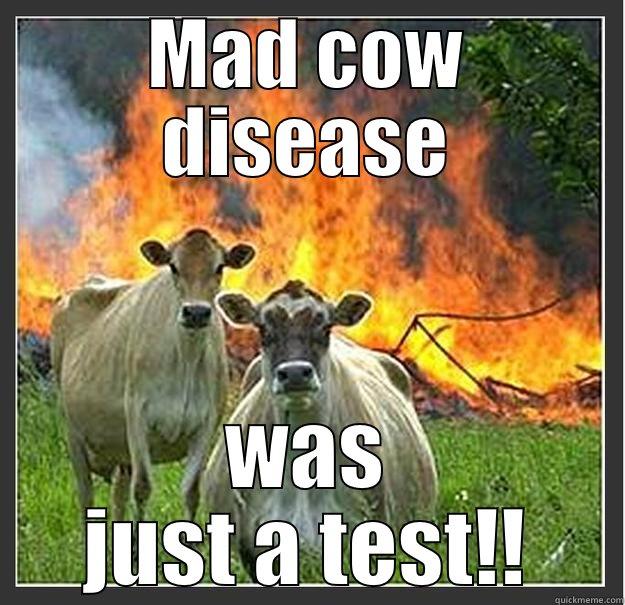 MAD COW DISEASE WAS JUST A TEST!! Evil cows