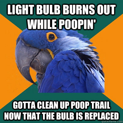 Light bulb burns out while p00pin' gotta clean up p00p trail now that the bulb is replaced  Paranoid Parrot