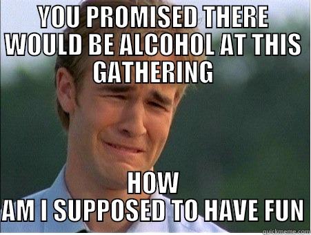 YOU PROMISED THERE WOULD BE ALCOHOL AT THIS GATHERING HOW AM I SUPPOSED TO HAVE FUN 1990s Problems