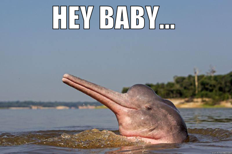 HEY BABY...  Misc