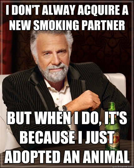 I don't alway acquire a new smoking partner but when I do, it's because I just adopted an animal  The Most Interesting Man In The World