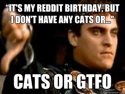 “It's my reddit birthday, but I don't have any cats or...