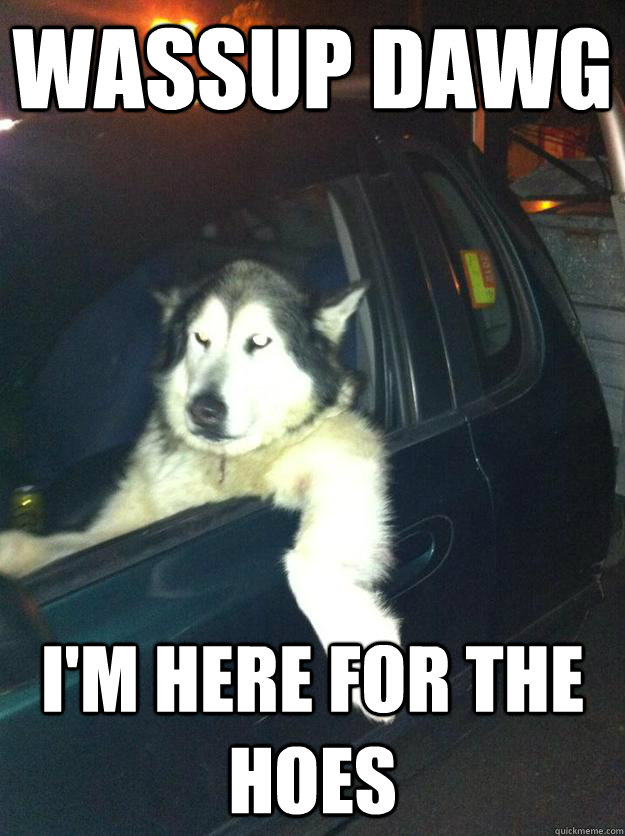 Wassup Dawg i'm here for the hoes  Mean Dog