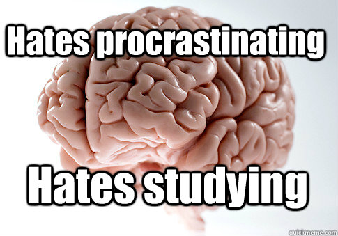 Hates procrastinating Hates studying   Scumbag Brain