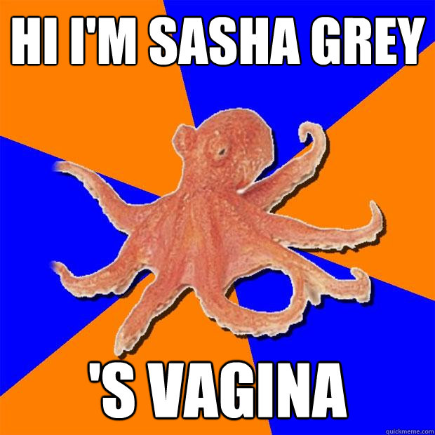 hi i'm sasha grey 's vagina - hi i'm sasha grey 's vagina  Online Diagnosis Octopus