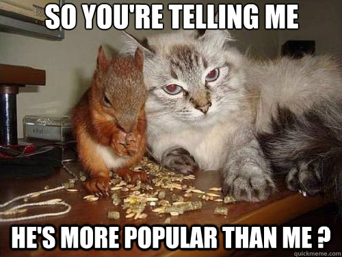 So you're telling me he's more popular than me ?  sceptical cat