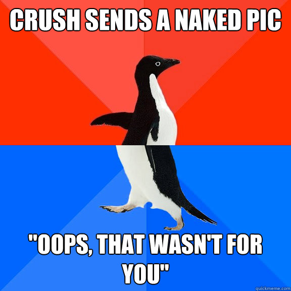 crush sends a naked pic 