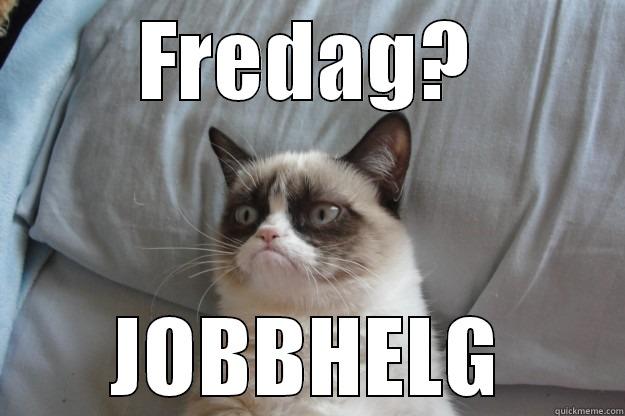 FREDAG? JOBBHELG Grumpy Cat