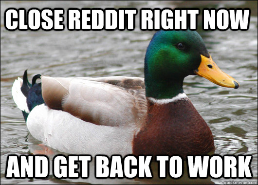 Close Reddit right now And get back to work  Actual Advice Mallard