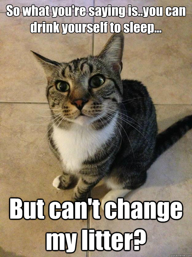 So what you're saying is..you can drink yourself to sleep... But can't change my litter? - So what you're saying is..you can drink yourself to sleep... But can't change my litter?  Misc