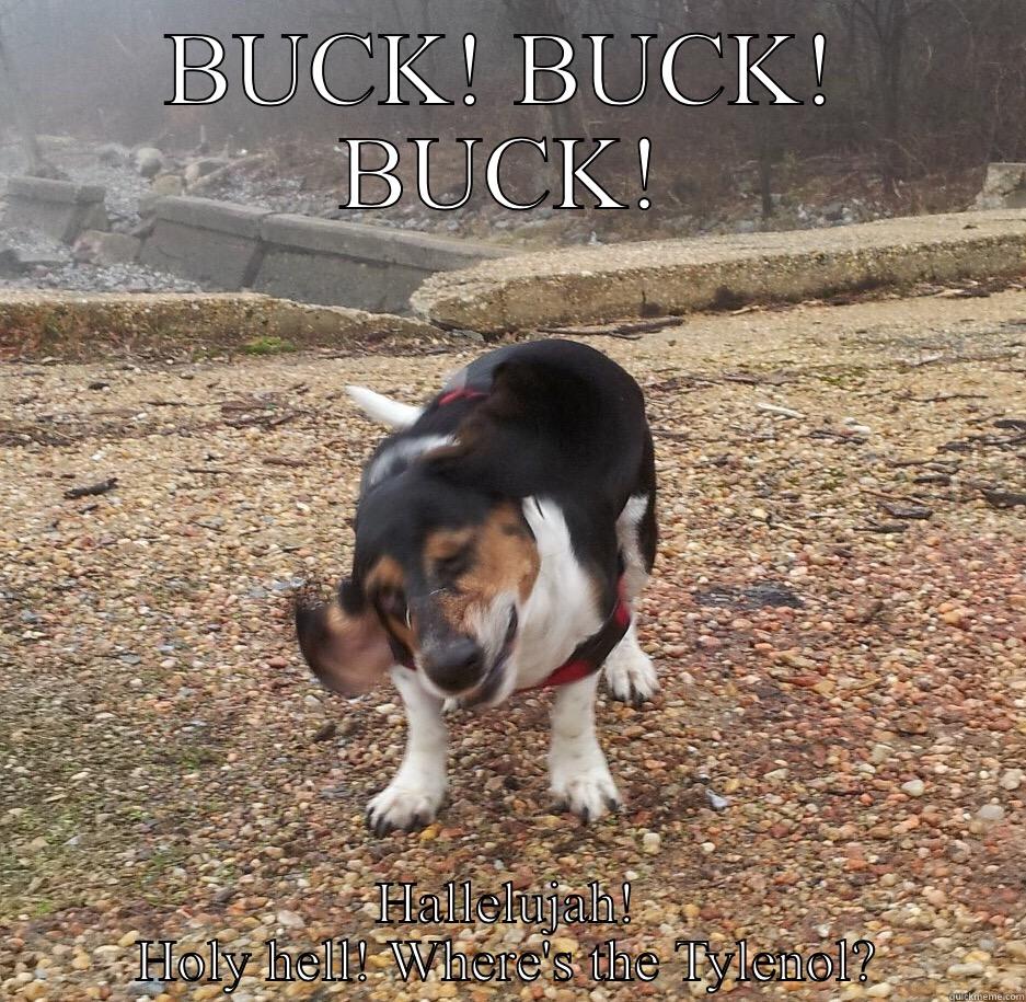BUCK! BUCK! BUCK! HALLELUJAH! HOLY HELL! WHERE'S THE TYLENOL? Misc