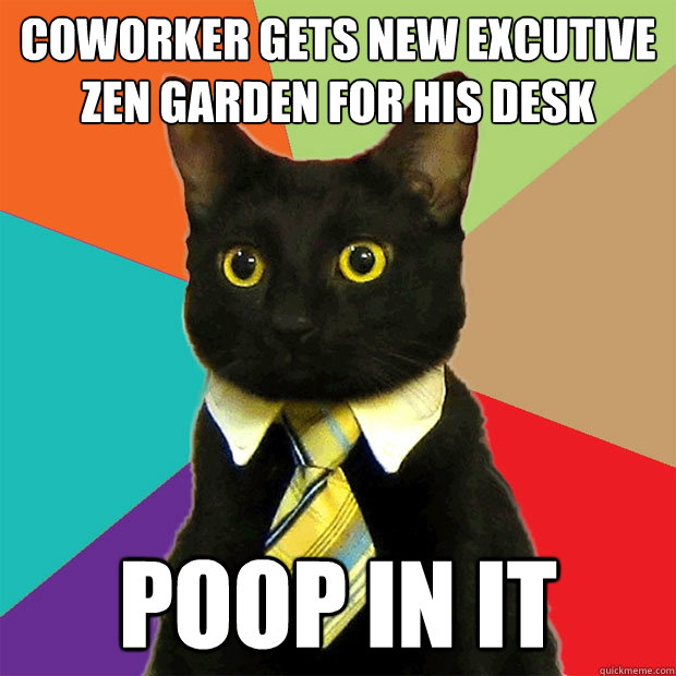Coworker gets new excutive zen garden for his desk Poop in it  Business Cat