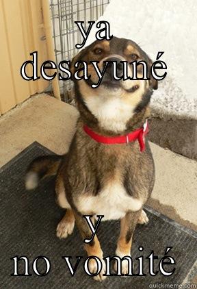 YA DESAYUNÉ Y NO VOMITÉ Good Dog Greg