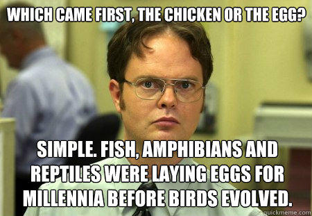 Which came first, the chicken or the egg? simple. fish, amphibians and reptiles were laying eggs for millennia before birds evolved. - Which came first, the chicken or the egg? simple. fish, amphibians and reptiles were laying eggs for millennia before birds evolved.  Schrute