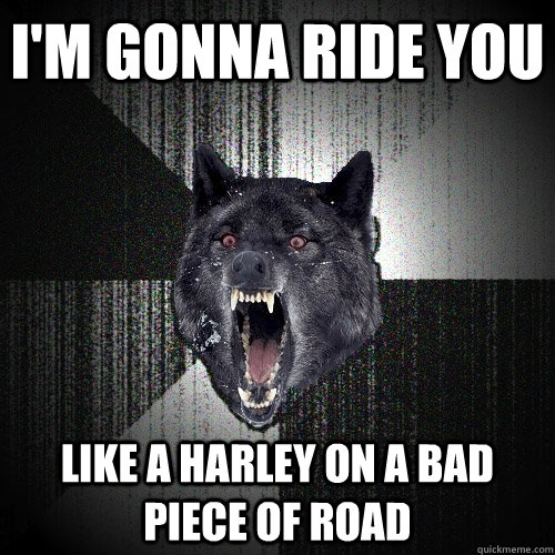 I'm gonna ride you like a harley on a bad piece of road  Insanity Wolf