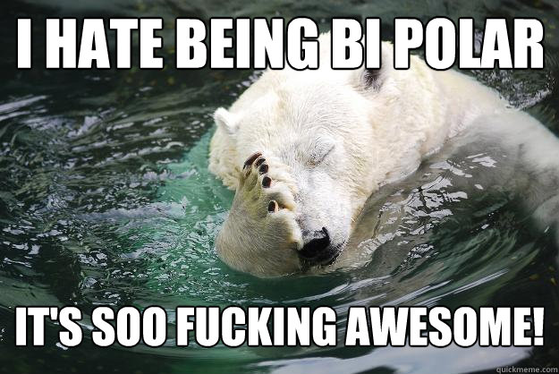 I hate being bi polar It's soo fucking awesome! - I hate being bi polar It's soo fucking awesome!  Embarrassed Polar Bear