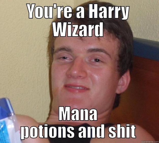 YOU'RE A HARRY WIZARD MANA POTIONS AND SHIT 10 Guy