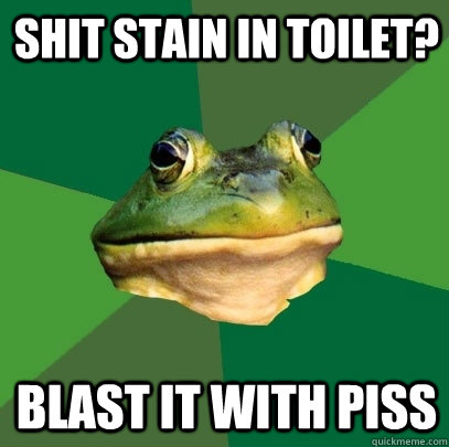 Shit stain in toilet? Blast it with piss  Foul Bachelor Frog