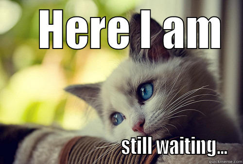    HERE I AM                                STILL WAITING... First World Problems Cat