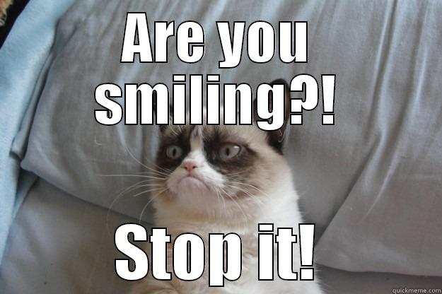ARE YOU SMILING?! STOP IT! Grumpy Cat