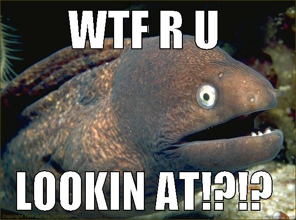 I DON'T GIVE A FUCK! - WTF R U LOOKIN AT!?!? Bad Joke Eel