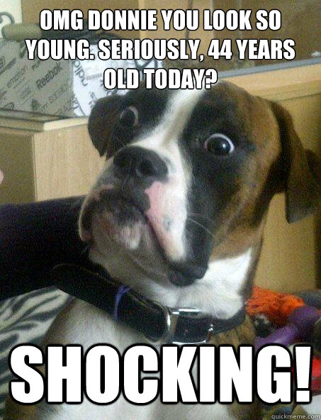 OMG Donnie you look so young. Seriously, 44 years old today? SHOCKING! - OMG Donnie you look so young. Seriously, 44 years old today? SHOCKING!  Shocked Dog