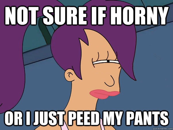 Not sure if horny Or I just peed my pants  Leela Futurama