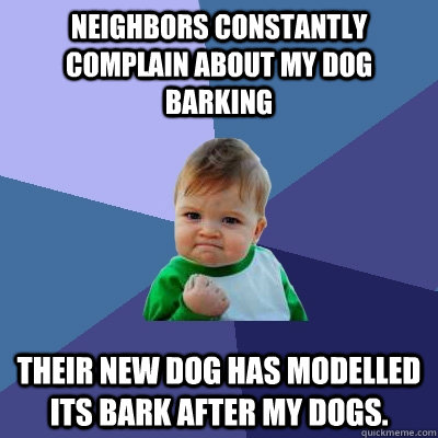 Neighbors constantly complain about my dog barking Their new dog has modelled its bark after my dogs.   Success Kid
