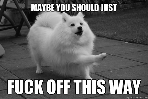 MAYBE YOU SHOULD JUST FUCK OFF THIS WAY  Japanese Spitz